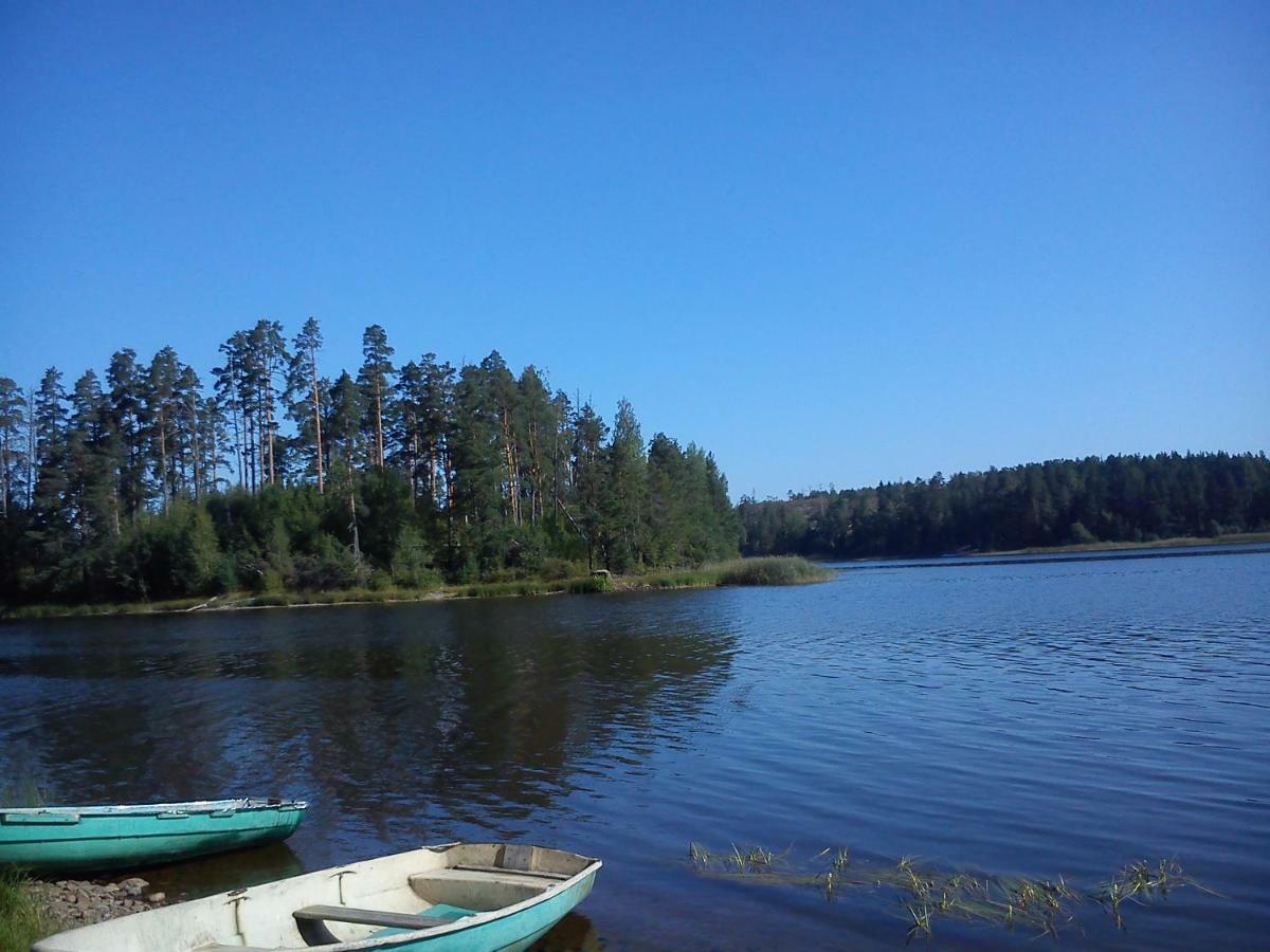 Погода березово приозерский. Березово Ладога. Берёзово (Ленинградская область). Деревня Березово Ленинградская область.